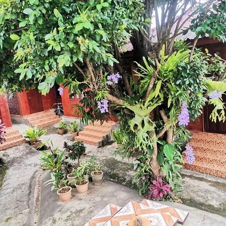 Kongkeo Guesthouse Muang Phônsavan Exterior foto